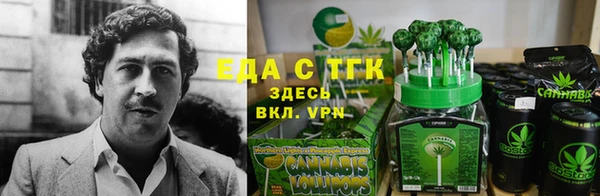шишки Верхний Тагил