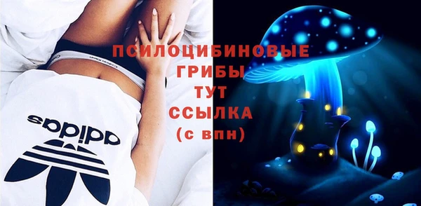 шишки Верхний Тагил