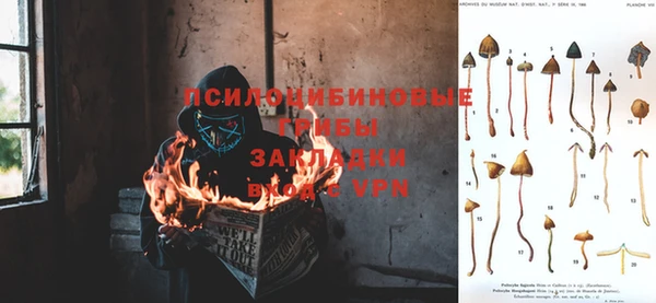 стафф Верея