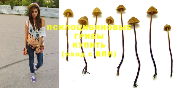 шишки Верхний Тагил