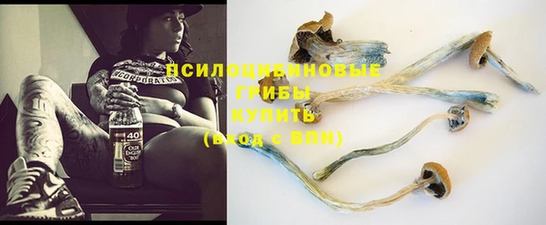 шишки Верхний Тагил