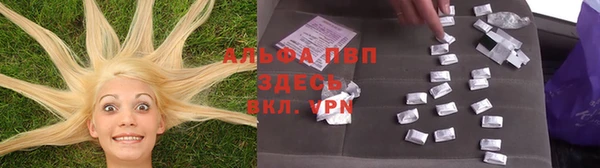 стафф Верея