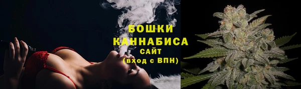 шишки Верхний Тагил