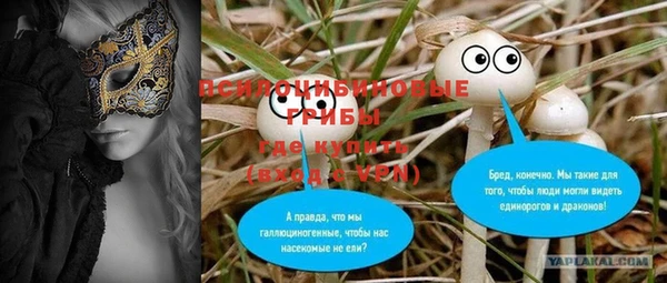 стафф Верея