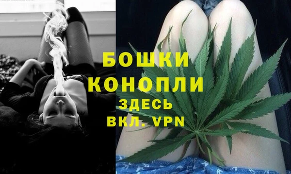 шишки Верхний Тагил