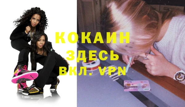 шишки Верхний Тагил